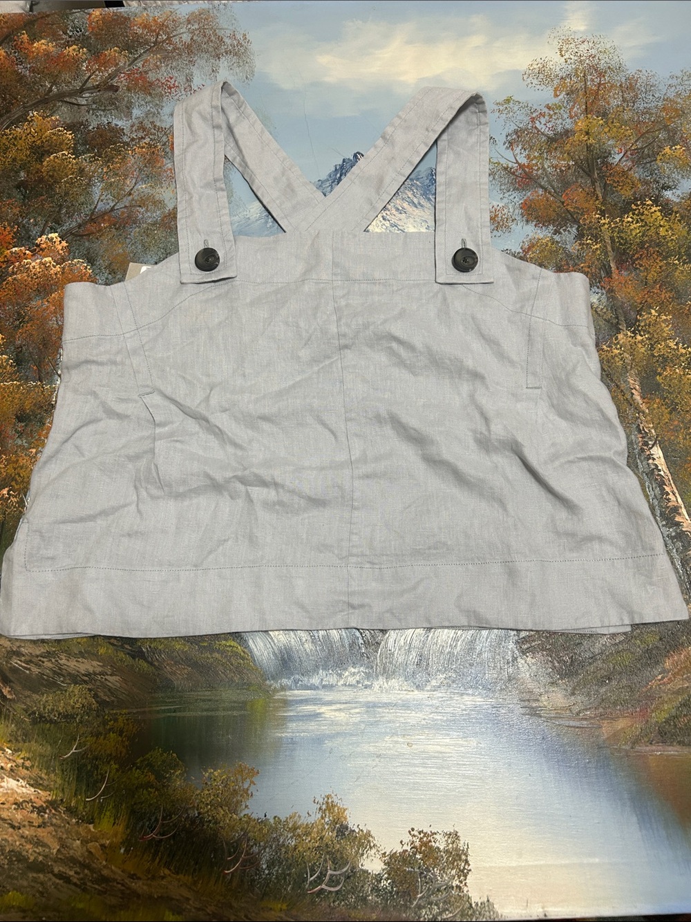 EVERLANE Light Gray Cropped Suspender Tank Top.